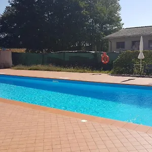  Appartamento In Toscana Con Piscina E Giardino